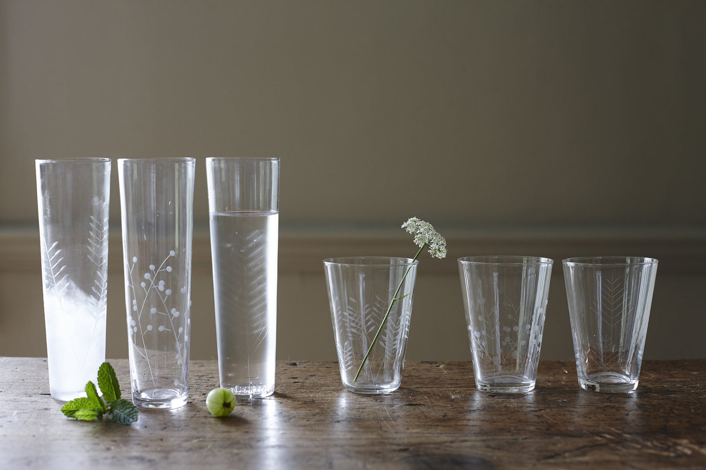 Sienna Etched Stemless Champagne Glassware Set Canvas Home Barware, Champagne, Champagne Glass, Etched, Etched Floral, Etched Foliage, Etched Glass, Etched Glassware, Floral, Foliage, Glass, Glassware, Set of 6, Sienna, Stemless, Stemless Champagne